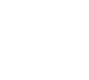 Fiduciaire Di Fino